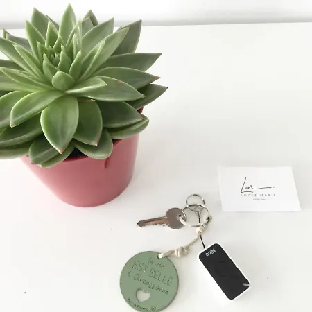 Marie * Villegailhenc